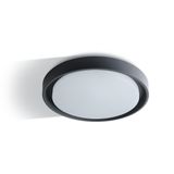 ANTHRACITE PLAFO 30W WW IP54 230V
