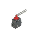 Safety switch with slotted hole lever