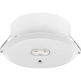 LiFeSafe PRO SURF RDDL HO RARC EM3 NM DA