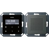 RDS FM radio speaker System 55 stainl.steel