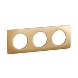 PLATE 3 GANG SATIN BRASS