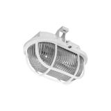 PANLUX Glass for OVAL 60W light fixture clear