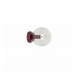 MAGNUS K1 BURGUND TRANSPARENT