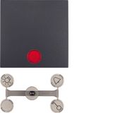 Rocker with fixing element IP44 S.1 with lens anthracite matt