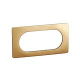 PLATE 2G LARGE SATIN BRASS