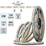 LED strip SMD3528 cold white, 120LED/m, IP20, DC 12V, 8mm, 50m