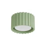 Ceiling lamp AURA 1 sage Gx53
