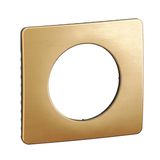 PLATE 1 GANG SATIN BRASS
