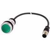 C22-DL-G-K10-24-P3 Illuminated pushbutton actuator, Flat, momentary, 1 N/O, Cable (black) with M12A plug, 4 pole, 0.5 m, LED green, green, Blank, 24 V AC/DC, Bezel: tita