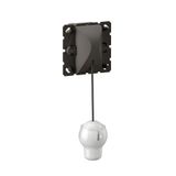 6A 2 WAYS PULL-CORD PUSH BUTTON