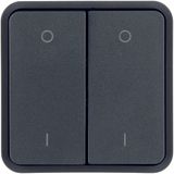 Rocker 2gang for W.1 push-button BCU, imprint top 0/bottom 1, grey