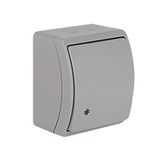 VW-4 Koala Intermediate Switch surface mounted IP44 gray VW 154-03
