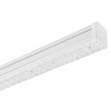 TRY S/W 39(42W) 3000K DALI+NOOD