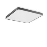 TRIONA square, 56 W, 7550 lm, 840, anthracite, DALI Ceiling and wall l