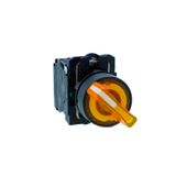 Ill selector switch, Harmony XB5N XB7N, plastic, yellow, 22mm, short handle, 3 position, stay put, 230V AC, 2 NO