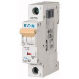 Miniature circuit breaker (MCB), 13 A, 1p, characteristic: D