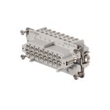 HDC insert, Female, 500 V, 16 A, Number of poles: 16, Screw connection, Size: 6
