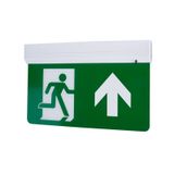PANLUX LED luminaire EUROPA COMPLETE arrow up 2W 60lm 6000K 3h emergency IP20