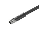 Power cable, One end without connector, M12, Number of poles : 3 (2 + PE), 1.5 m, pin, straight, Shielded: No, LED: No, Sheath material: PUR, Halogen: No