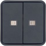 Rocker 2gang for W.1 push-button BCU, with two lenses, grey
