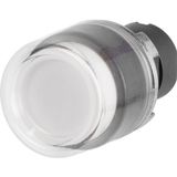 Projecting push-button, illuminated, white, rubber cap