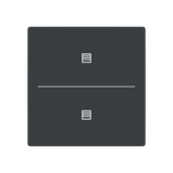 ESP RDUD1R/480 module