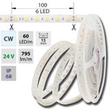 LED strip SMD5050 CW, 60LED/m, 14,4W/m, 1180lm/m, IP68, DC 24V, 13mm, 5m