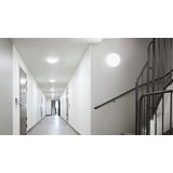 Steinel Reservekap RS PRO LED S2 kunststof
