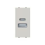 N2185.3 DN USB CHARGER A+C 10.5W -1M