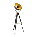 COVALEDA floor light 49618