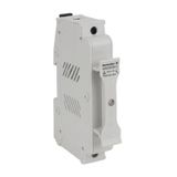 Fuse terminal, Screw connection, Light Blue, 16 mm², 32 A, 1500 V, Num