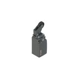 Position switch with adjustable one-way roller