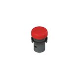 Illuminated monolithic indicator