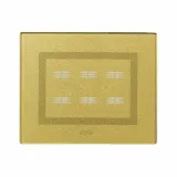 VERATOUCH FRONT PLATE GOLD     6CON