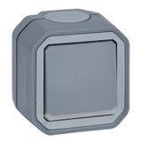 PLEXO DOUBLE POLE SWITCH INDICATOR - GREY - SURFACE