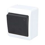 GALATEA Button symbol light No. 1/0 10A 230V on plaster IP44 white/black