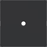 Central plate for switch/push button with pull handle, A.x/C.x, matte black