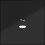 Center plate for USB-C socket, A.x/C.x, glossy night black