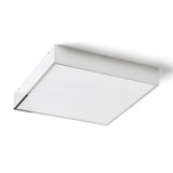 MERANO LED 35 ceiling chrome/matte acrylic 230V LED 24W IP44 3000K