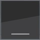 Rocker single, large text field, clear lens, A.x/C.x, anthracite