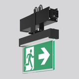 LINEDO, black, on/off Continuous line luminaire, L 336 B 62 H 343, SBS