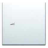 BUTTON 2M MW NT 11 6232021