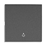 Rocker S 55 with symbol light, anthracite