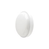 PANLUX Lamp LED CIRCLE MAXI 15W 1350lm 4000K IP65
