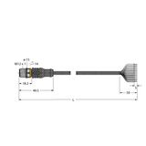 Actuator and Sensor Cable, PVC Connection Cable   RSC12.120T-10/TEL