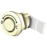 SDC-LSE Lock