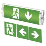 LED Emergency Bulkhead NESSI 3W 3h IP65