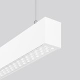 LINEDO single IP20, 31 W, 4850 lm, 840, white, on/off Pendant luminair
