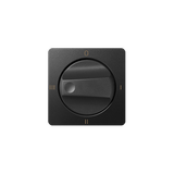 Cover for rotary switch (4 positions), Graphite