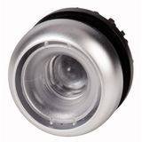 M22-D-X-GVP Pushbutton, RMQ-Titan, flush, momentary, Without button plate, Bezel: titanium
